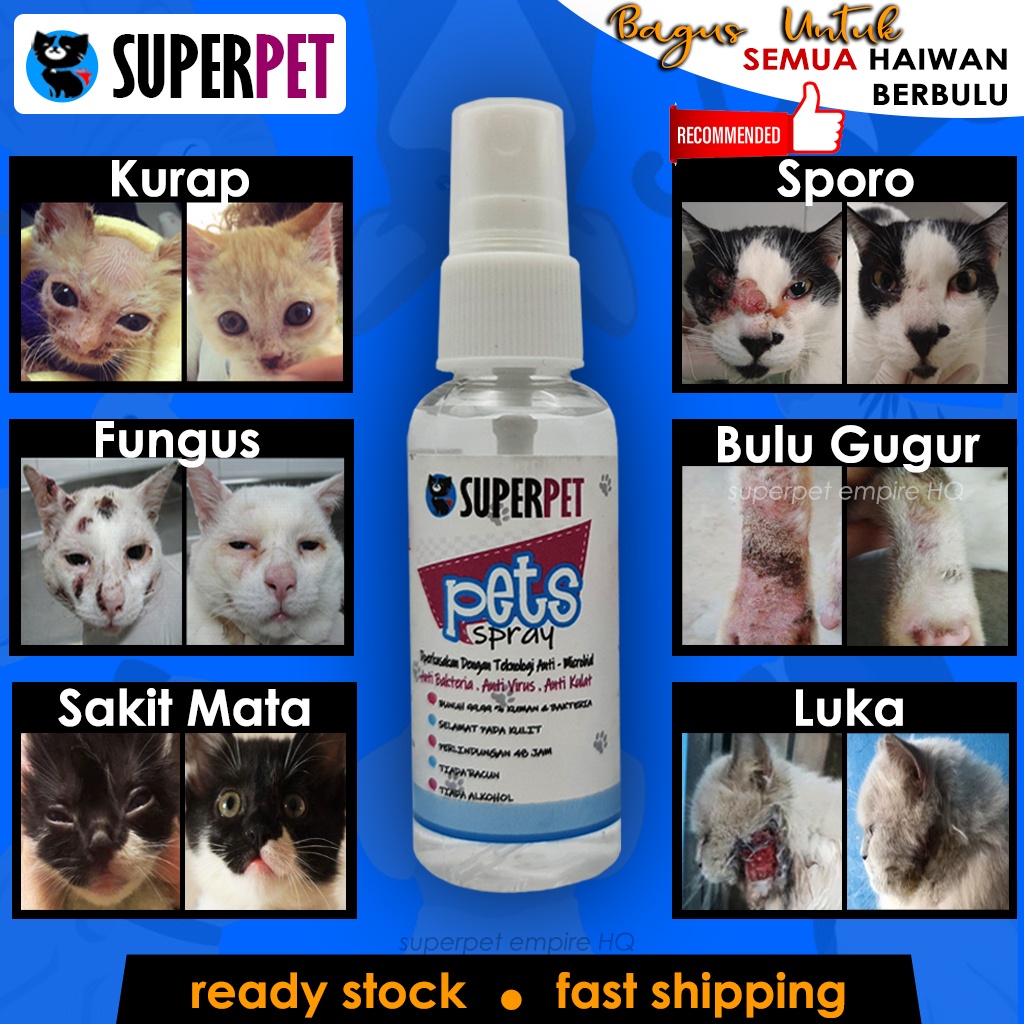 spray kurap kucing haiwan peliharaan ubat gatal luka fungus bulu gugur