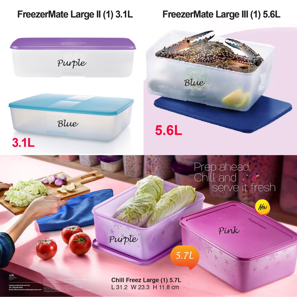 Tupperware FreezerMate Large II (3.1L) / FreezerMate Large III (5.6L) / Chill Freez Large 5.7L (Pink / Purple)