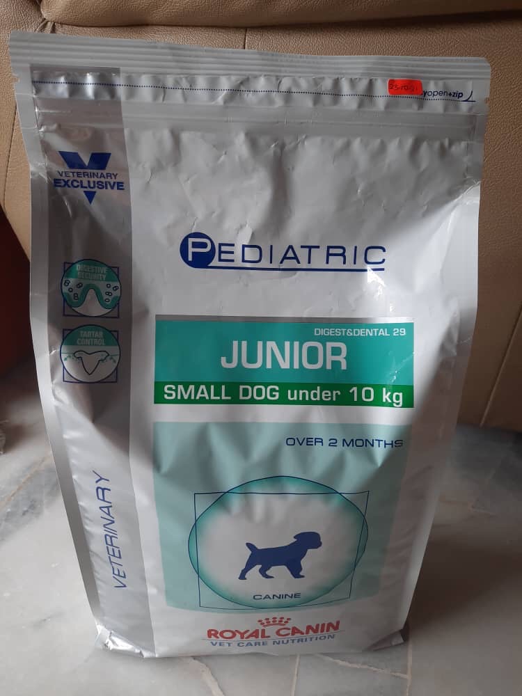 royal canin pediatric junior small dog under 10kg