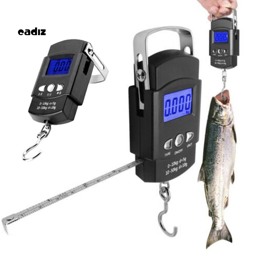 fish measuring scales