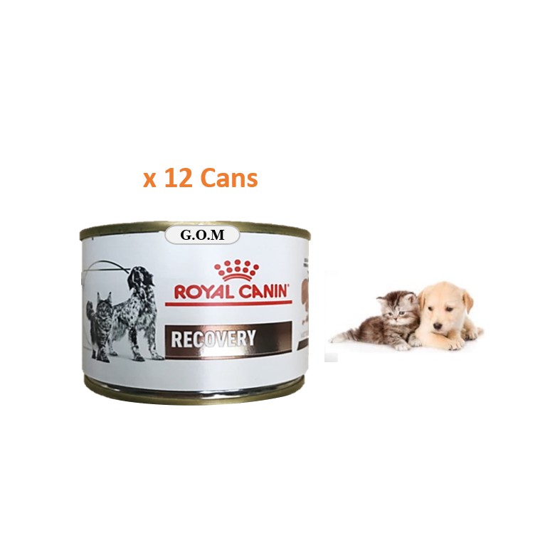 recovery dog food royal canin