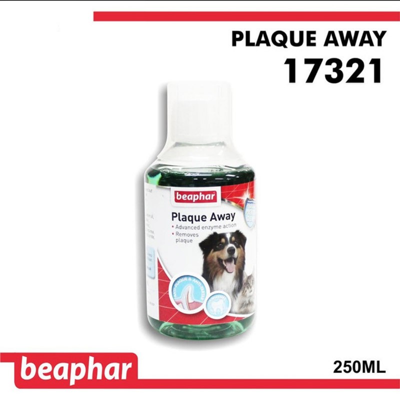 dog teeth cleaning liquid