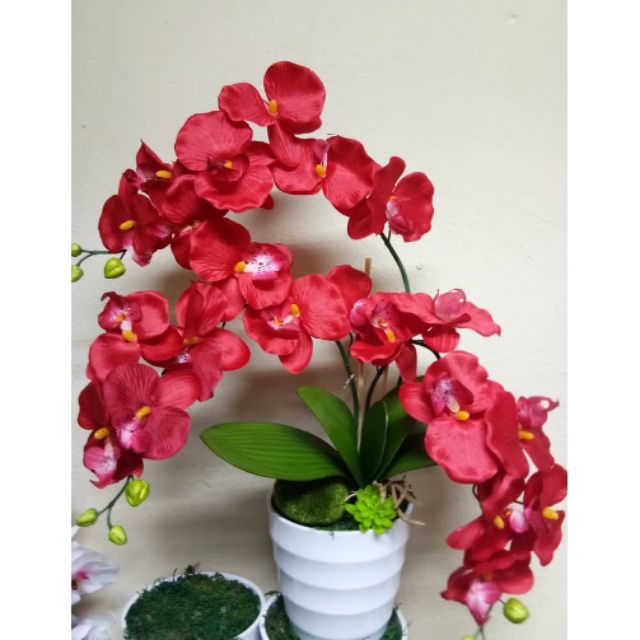  Bunga  hiasan  orkid  murah Shopee Malaysia