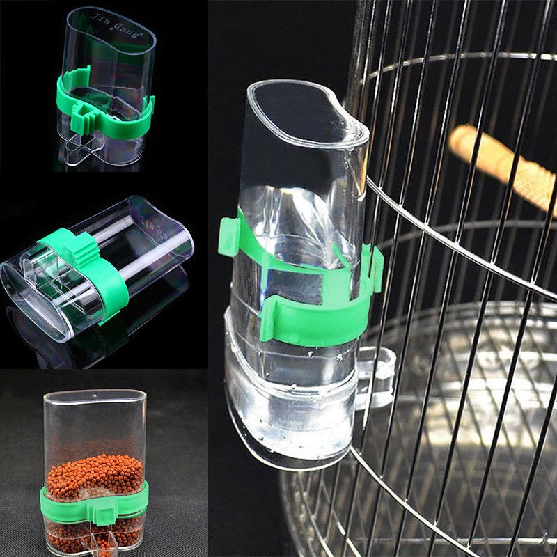 bird bottle cage