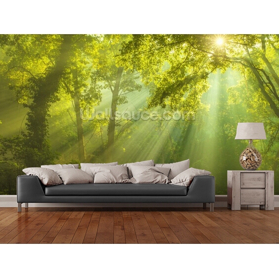 Forest Sun Light Nature 3d Wallpaper Living Room Tv Wall Bedroom Cafe Bar Mural