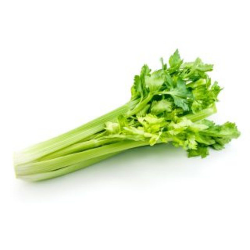 Buy Celery Daun Saderi Organic 200g Seetracker Malaysia