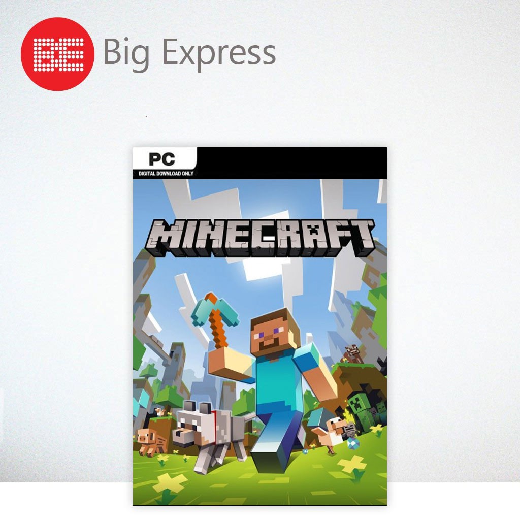 minecraft java edition price