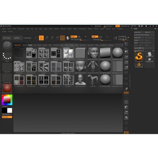 OEM ZBrush 2021