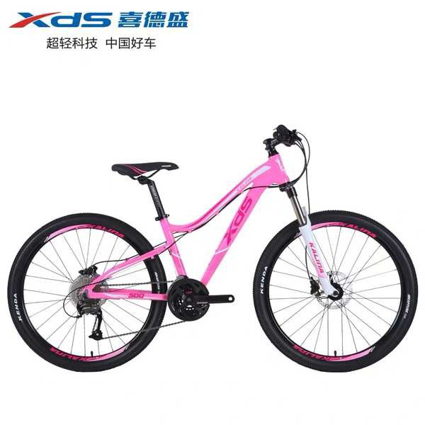 women's mountain bike 24