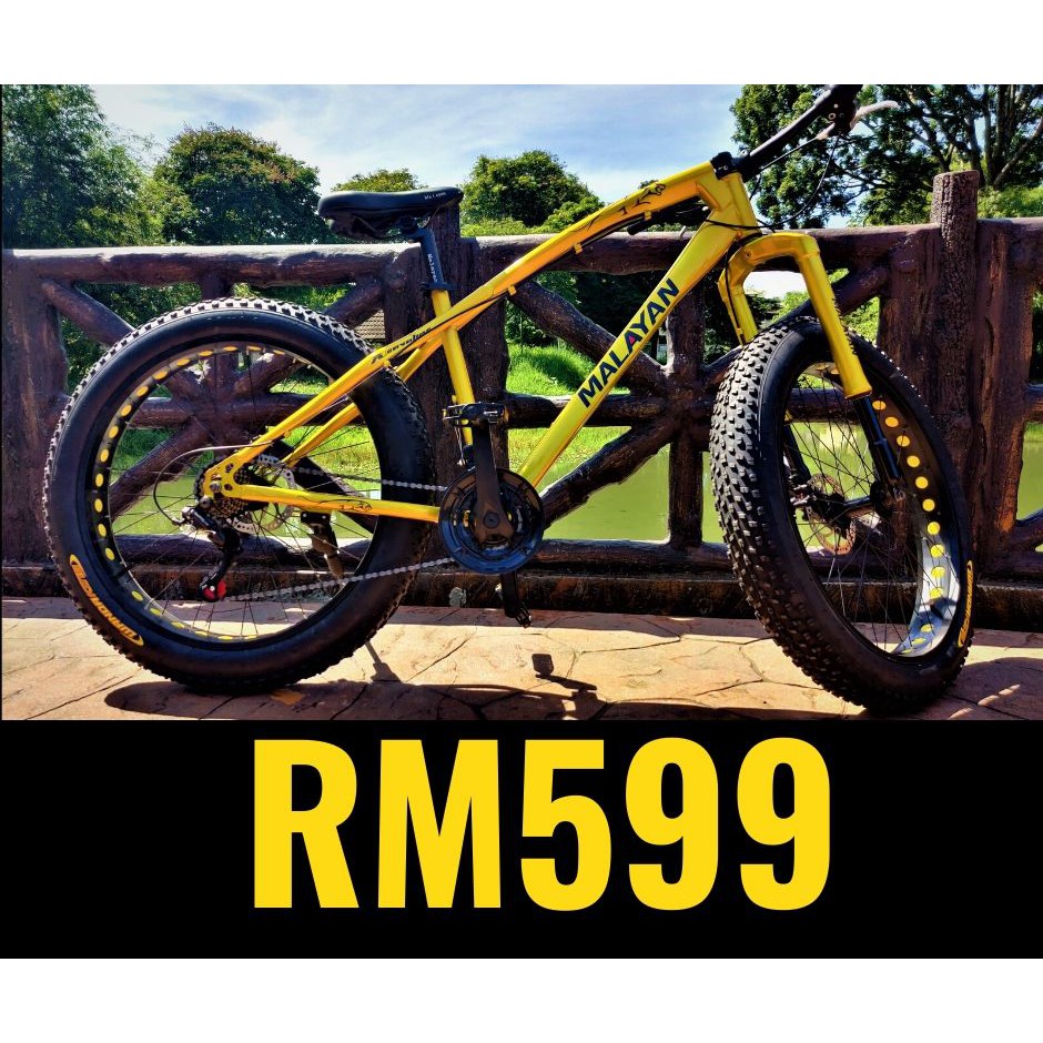 Harga Fat Bike Malaysia / ActiveOne 20" Folding Bicycle Harga & Review