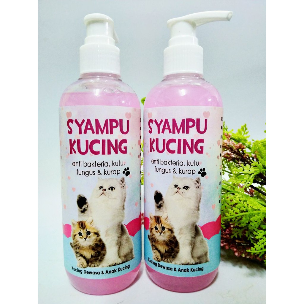 Buy SYAMPU KUTU KUCING..  SeeTracker Malaysia