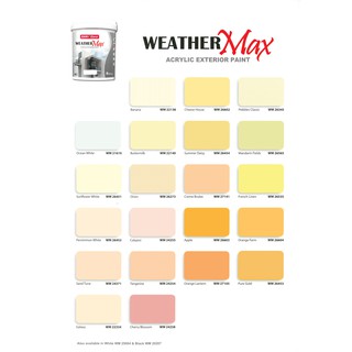 SANCORA Weather Max Weatherproof Exterior Wall Paints 