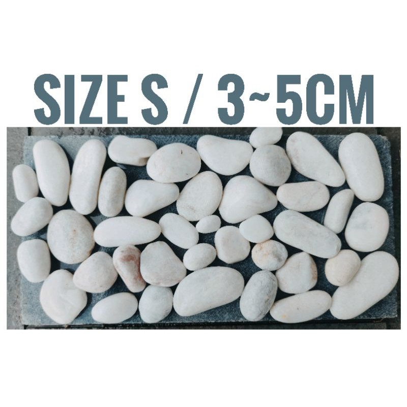 Buy 18kg 1pack Limit 2 Pack Local White Stone River Pebble Gardening Landscape Decor Massage Stone Batu Putih Seetracker Malaysia