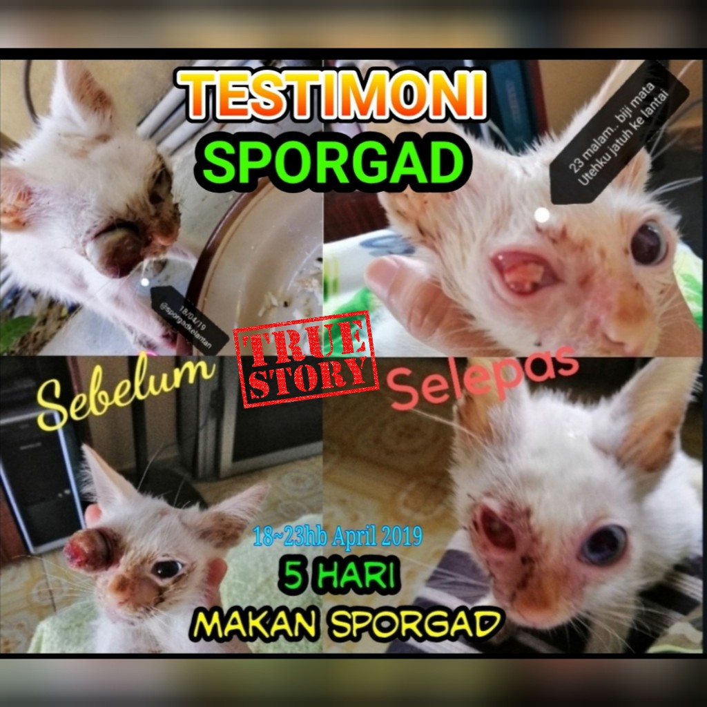 UBAT SERBAGUNA Kucing Sakit BERJANGKIT MATA PARVO SPORO Kudis Luka 