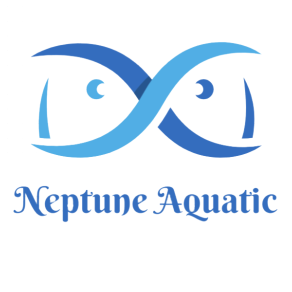 neptune aquatic center