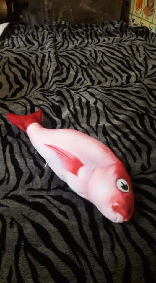 20cm 40cm 80cm 120cm Simulasi Ikan Bantal Gadis Tidur Meja Asrama Anak Patung Boneka Mainan Mewah Mainan Comel Shopee Malaysia