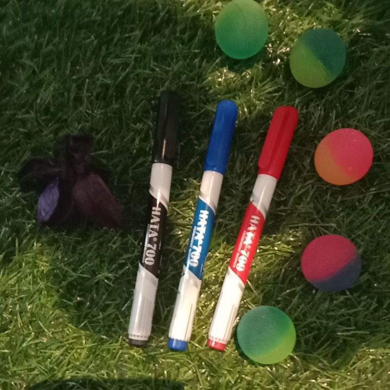 Hata 700 Permanent Marker Pen ( 1 box) Shopee Malaysia
