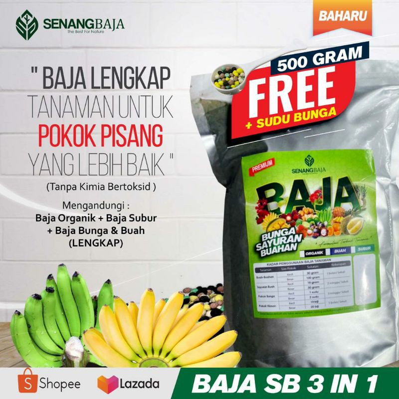 Baja Pokok Pisang Pek Mini 1 5kg Shopee Malaysia