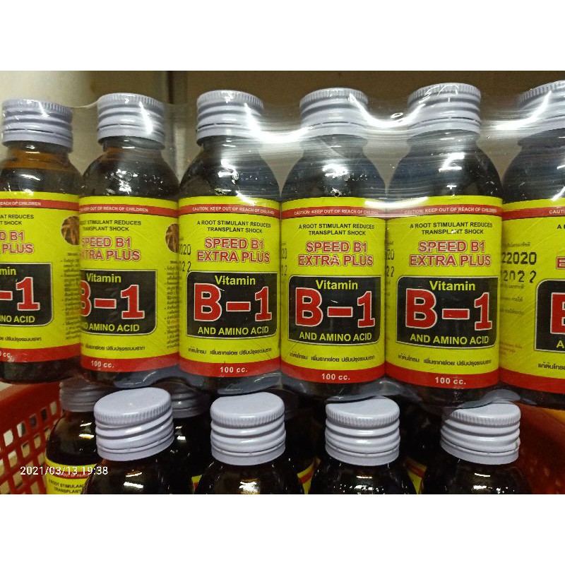 B1 Vitamin/hormon Baja Penggalak Akar | Shopee Malaysia