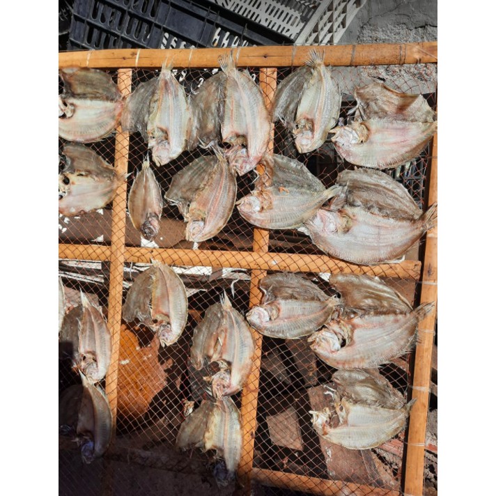 500gram Dried Aquarium Fish (Vacuum Fish) PHAN Thiet Specialties