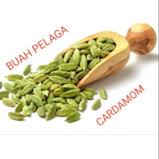 BUAH PELAGA (KAPULAGA)  Shopee Malaysia