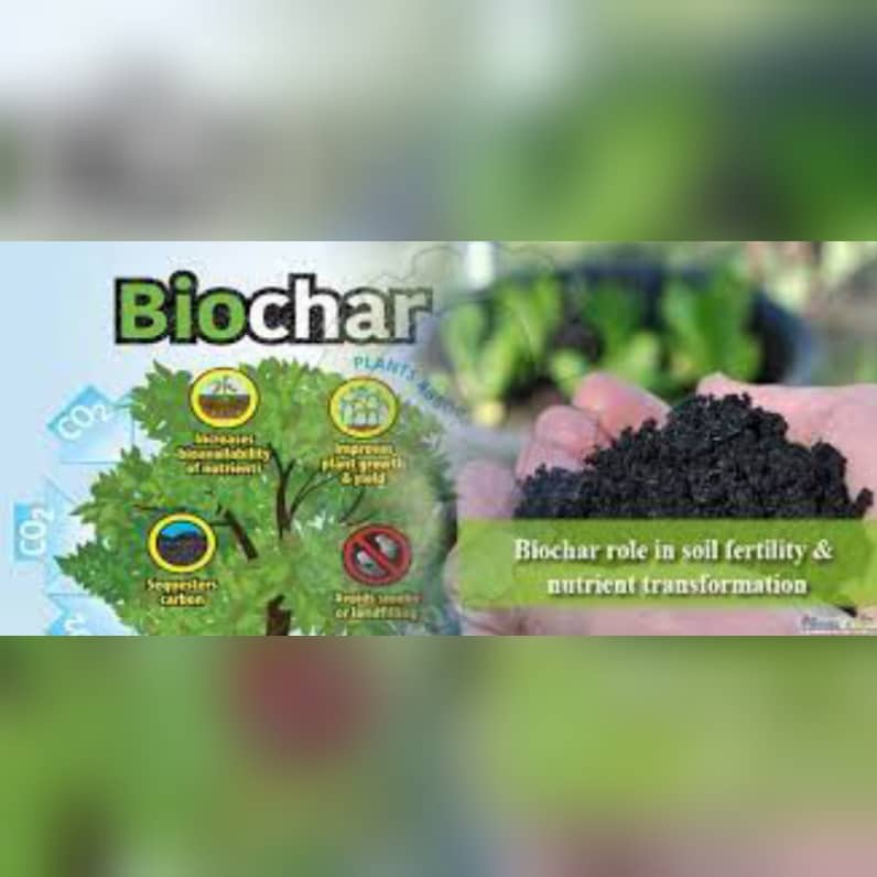 Premium Photo Enhancing Soil Fertility With Biochar Increasing Carbon