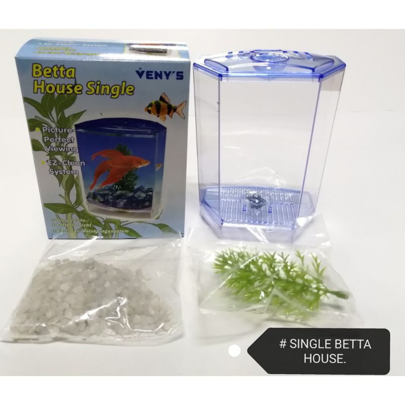 betta fish small tank