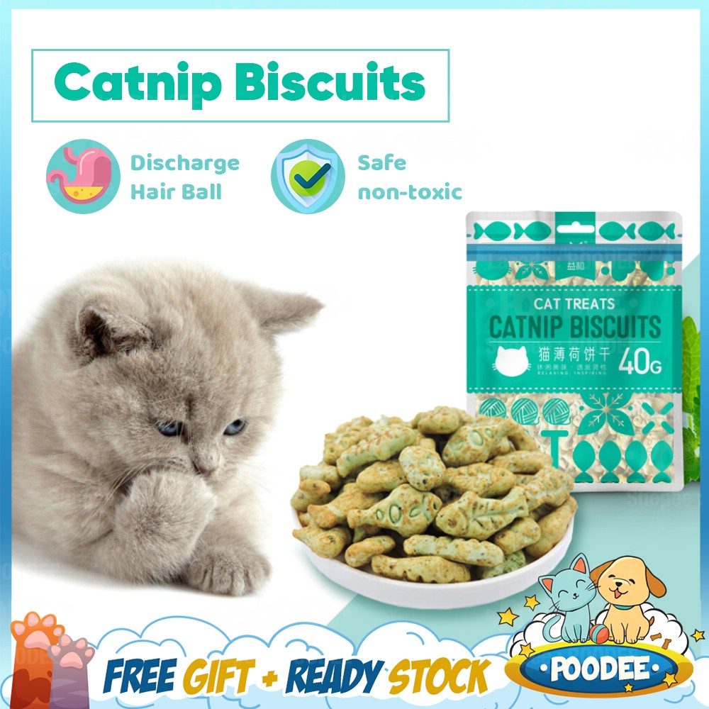 POODEE 40g Cat Catnip Biscuits Snacks Biskut Kucing Vitamin Removing Hairballs Cat Treat Makanan