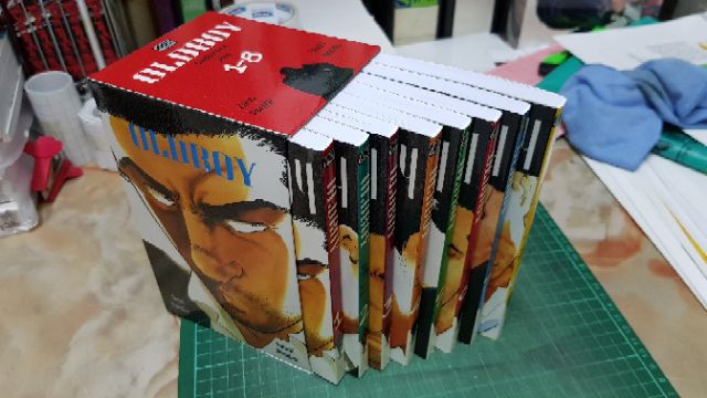 NEW OLD BOY Manga Complete Boxset Volume 1-8 English Version