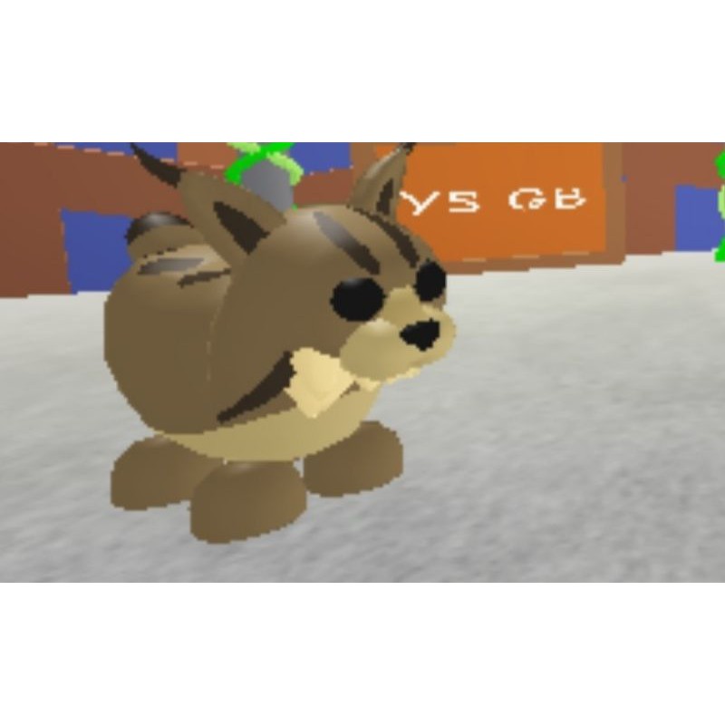 LYNX Rare Pet Adopt Me Roblox (FR/NFR) Shopee Malaysia