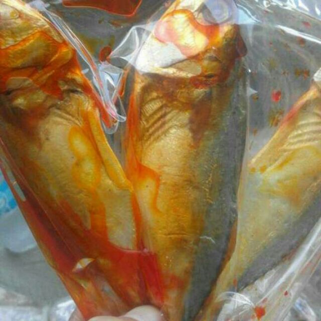 Ikan Air Masin My Xxx Hot Girl