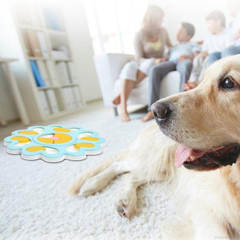 educational toys for dogs