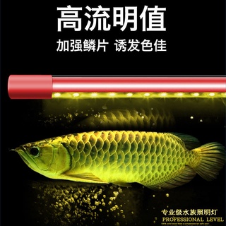 Buy 鱼缸照明鱼缸led灯鱼缸灯七彩变色水族灯龙鱼灯潜水中灯水草金龙红龙锦鲤 Seetracker Malaysia