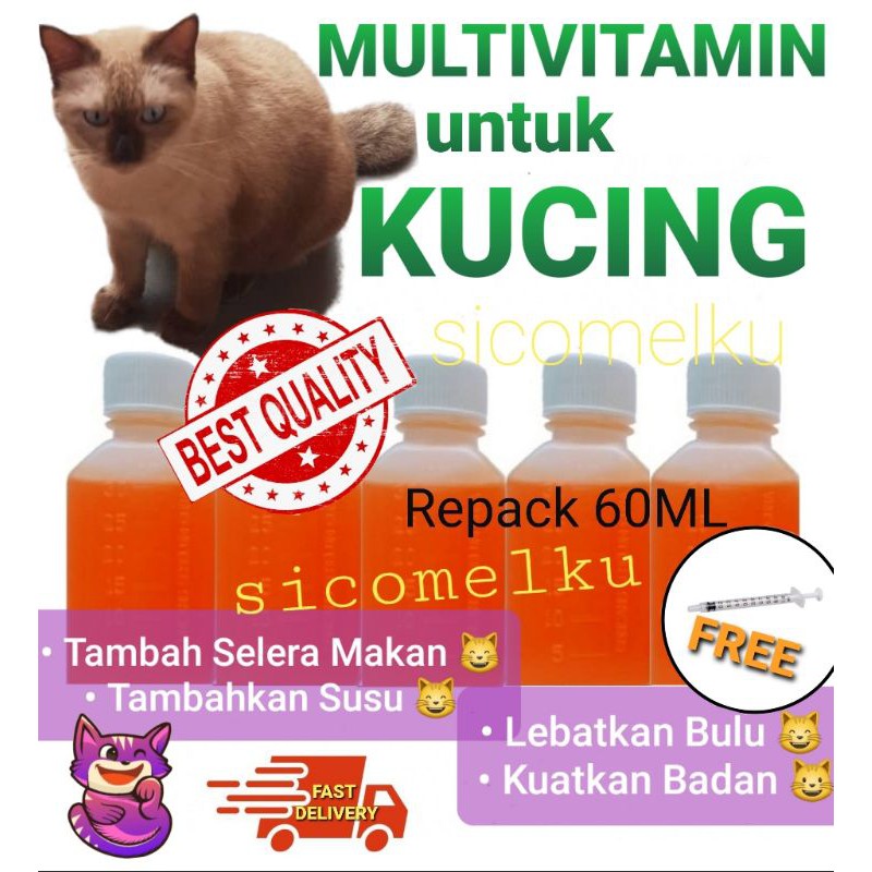 Buy Multi VITAMIN Sirup untuk Kucing Cat Pet Tambah Selera Makan 