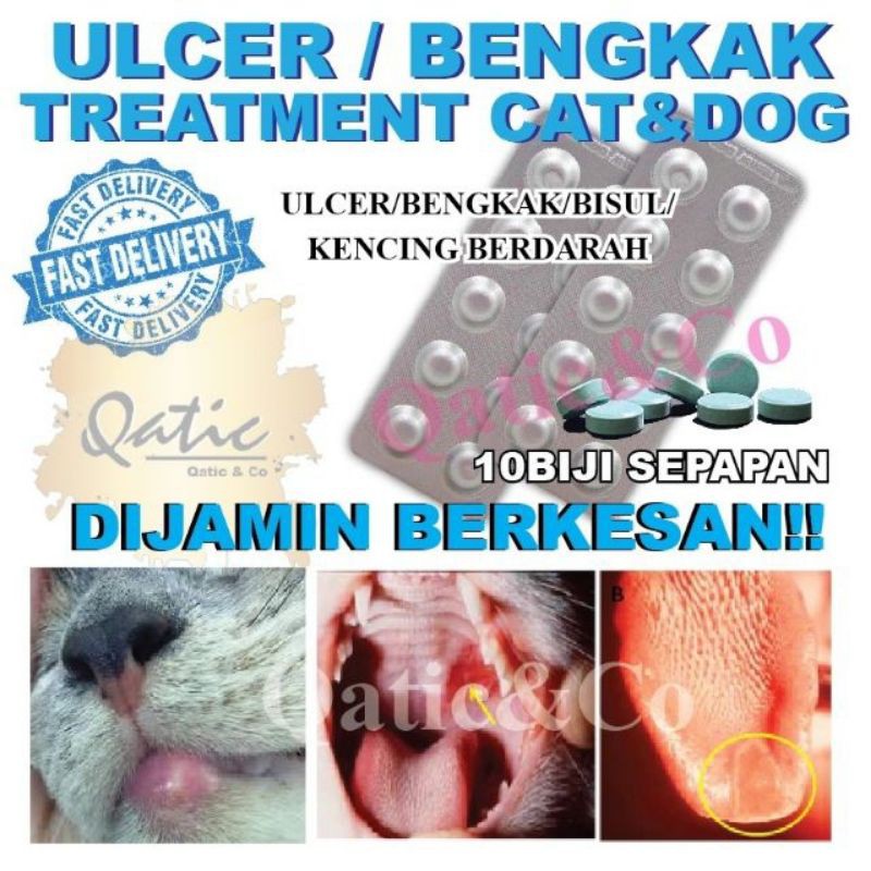 Buy Ubat Ulcer Bengkak Bisul Kencing Berdarah Kucing Anjing Seetracker Malaysia