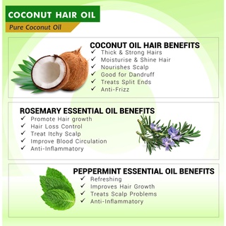 Coconut Hair Oil - Minyak Rambut Kelapa - Pelebat Rambut & Kelemumur ...