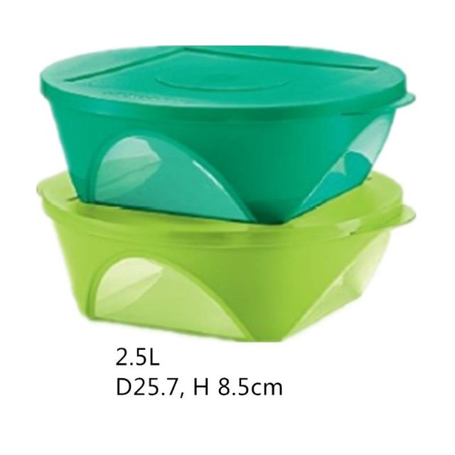 TUPPERWARE  Outdoor Dining Bowl (2) 2.5L