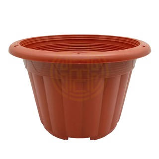  DIAMETER  22 CM  CHERRY POT  220 FLOWER POT  COLOR SELECTION 