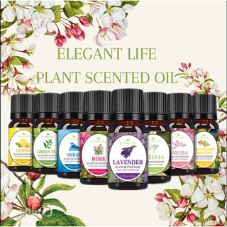 Essential Oil 10ML /Water Soluble/ Plant Scented Oil/ Aromatherapy Oil for diffuser