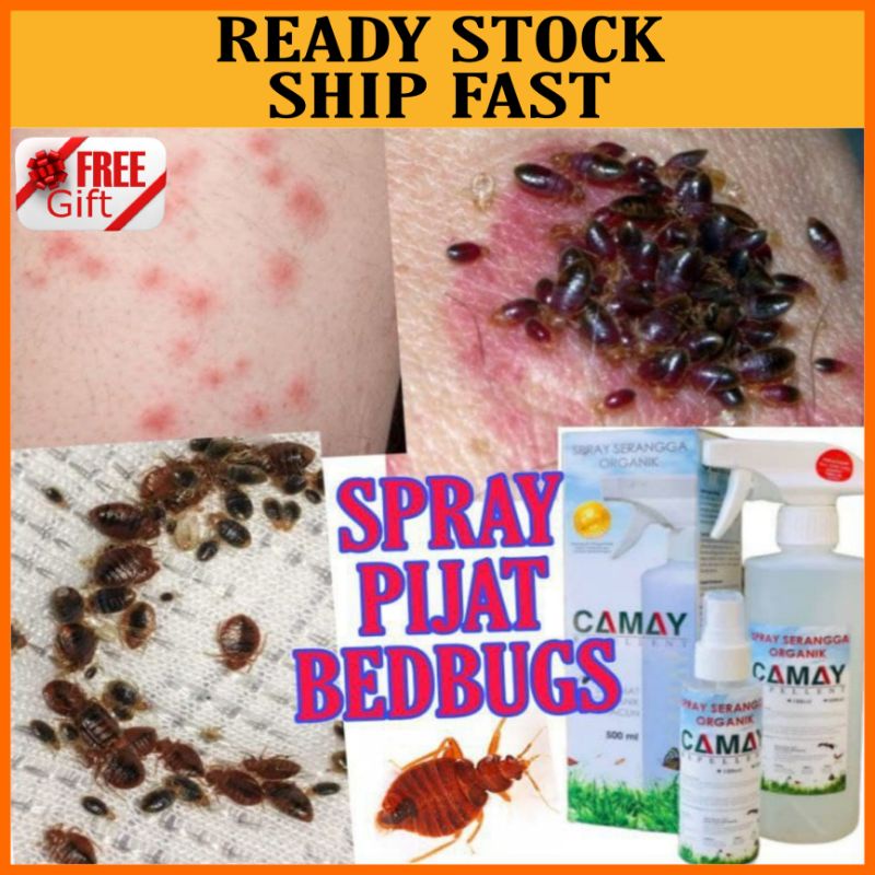 Camay Bedbugs Dust Mite Spray Ubat Pepijat Hama Kutu Busuk Pijat Natural Tanpa Racun Shopee Malaysia
