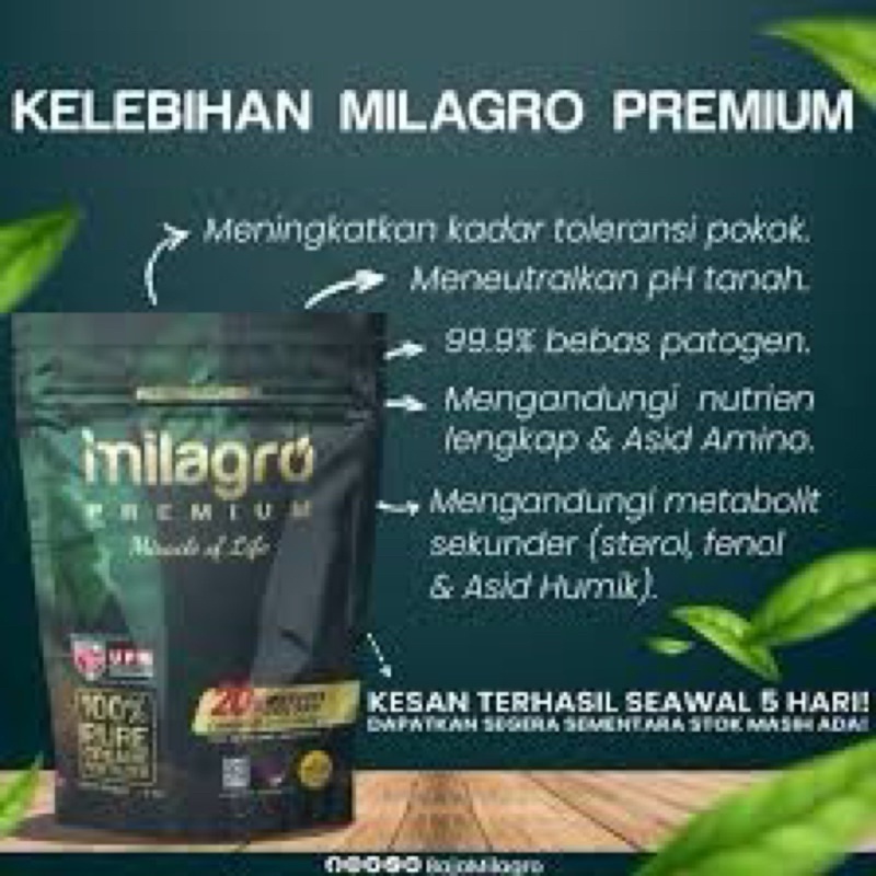 BAJA MILAGRO PREMIUM 1KG 100% ORGANIK + FREE GIFT 1 JENIS BENIH SAYURAN ...