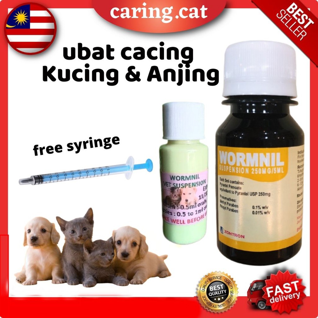 ubat cacing untuk Kucing Dan Anjing Shopee Malaysia - ubat anak kucing