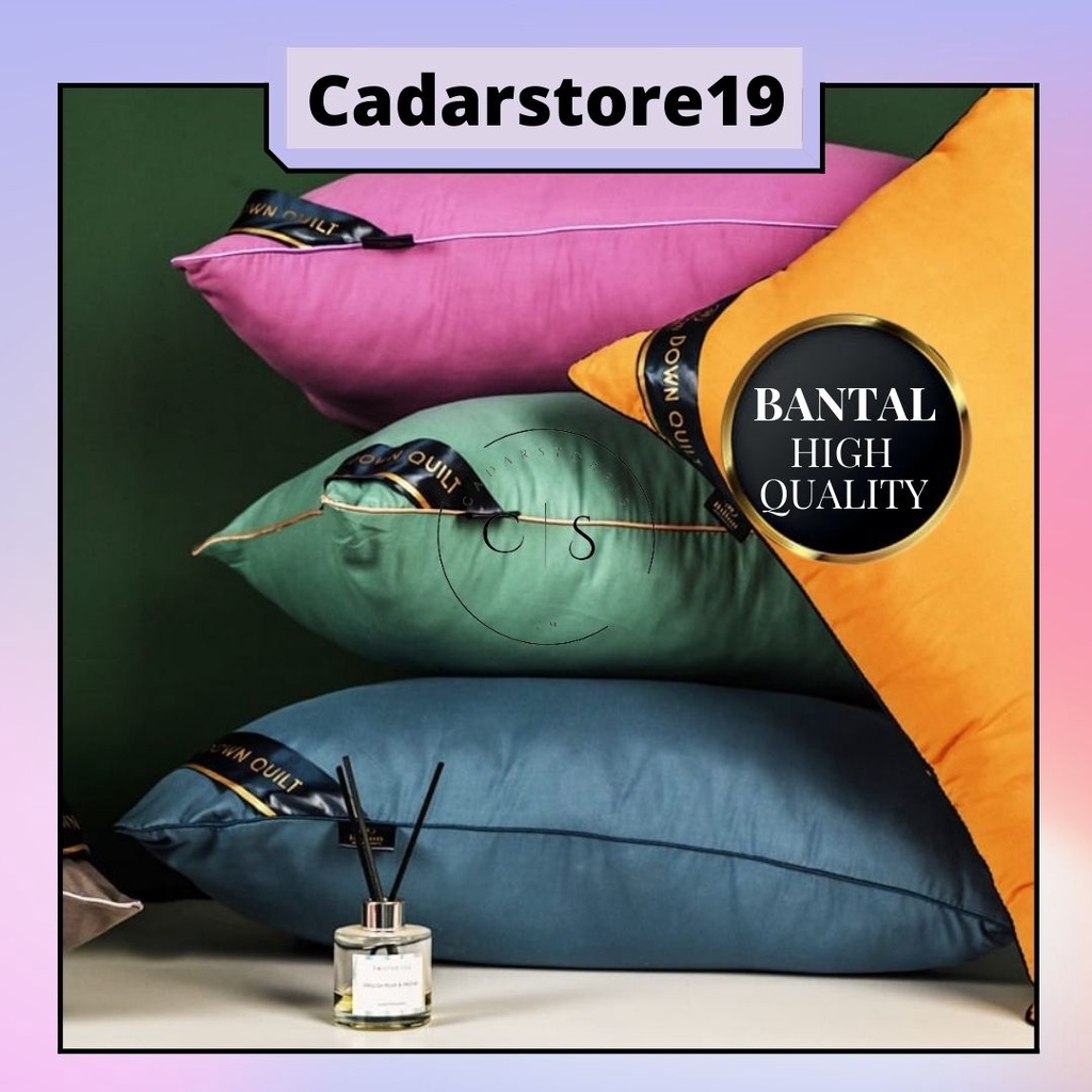 Pillow HQ 5 STAR (SIZE 48CMX74CM) Hotel Bantal Feather Velvet Health Pillow Core Ready Stock!!!