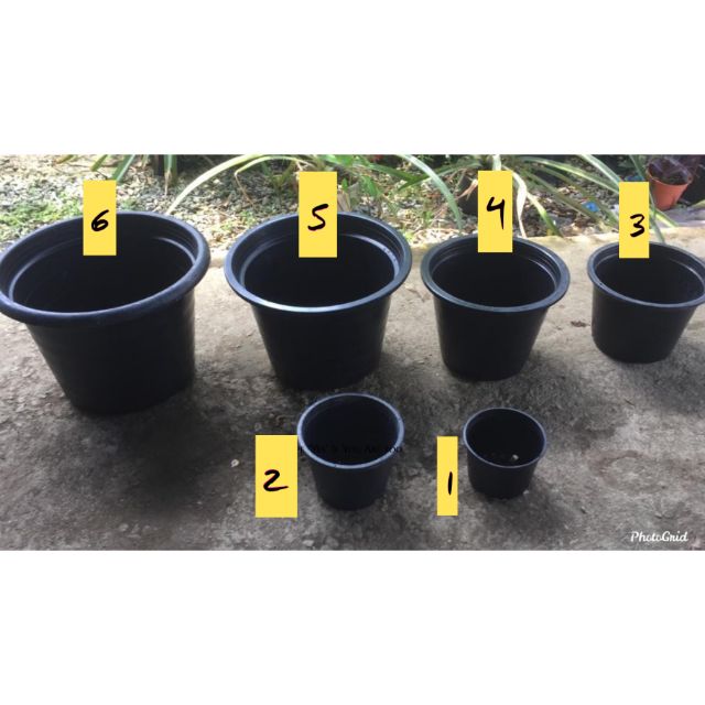 Thailand Pasu Bunga Plastik Hitam Plastic Flower Pot Black No 1 No 2