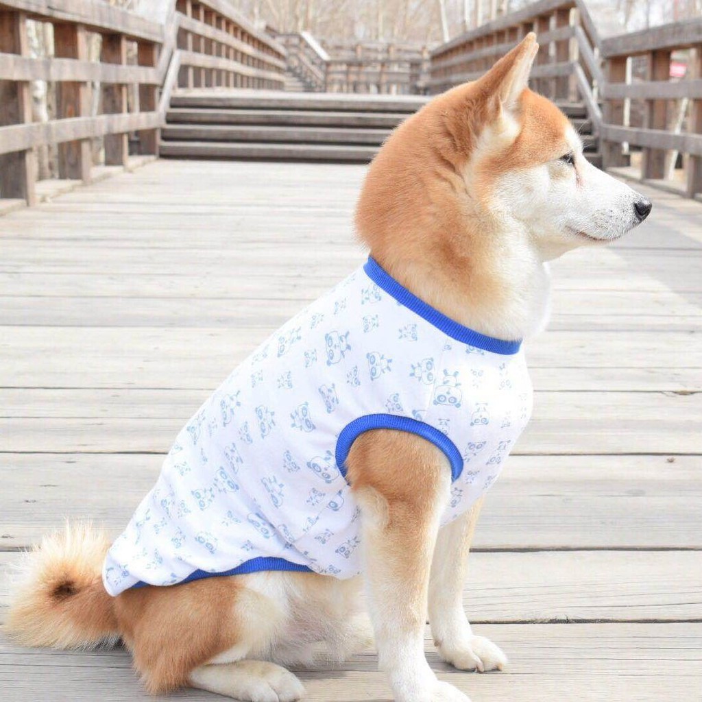 ▻☎❄New cotton cartoon dog vest long sleeve T-shirt firewood dog Teddy  border animal husbandry kerky gold wool Labrador d | Shopee Malaysia