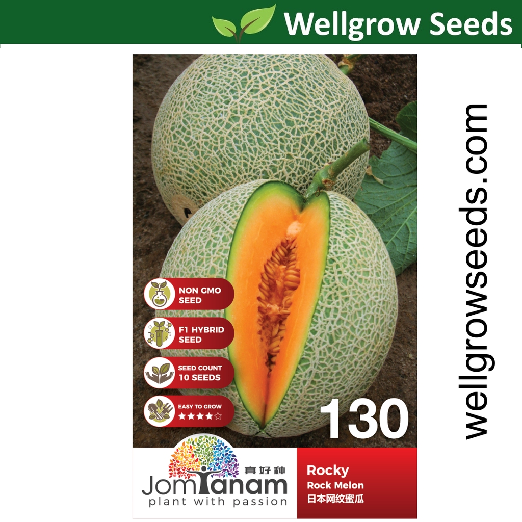 Rock Melon Rocky (10 seeds) 日本网纹蜜瓜 Jom Tanam by Crop Power JT130 Biji Benih