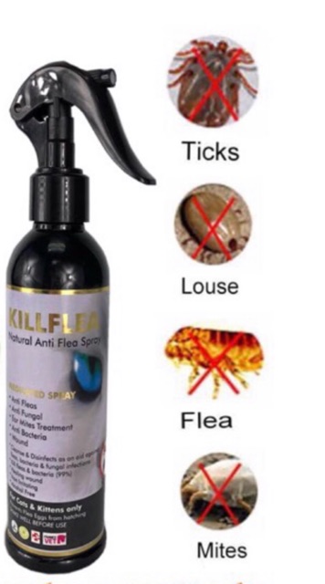 KIILFLEA natural anti flea spray/ubat kutu/spray/anjing 
