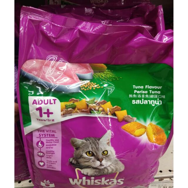 whiskas junior 3kg