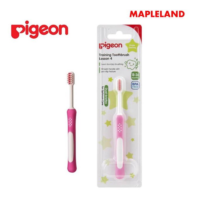 pigeon toothbrush lesson 1
