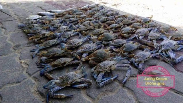 Hot Sales Viral Jaring Ketam V3 Jaring Pancing Ketam Ikan Viral Shopee Malaysia